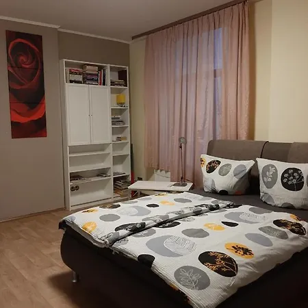 Apartment Ferienwohnung Lilia Aachen