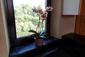 Apartment Ferienwohnung Lilia Aachen